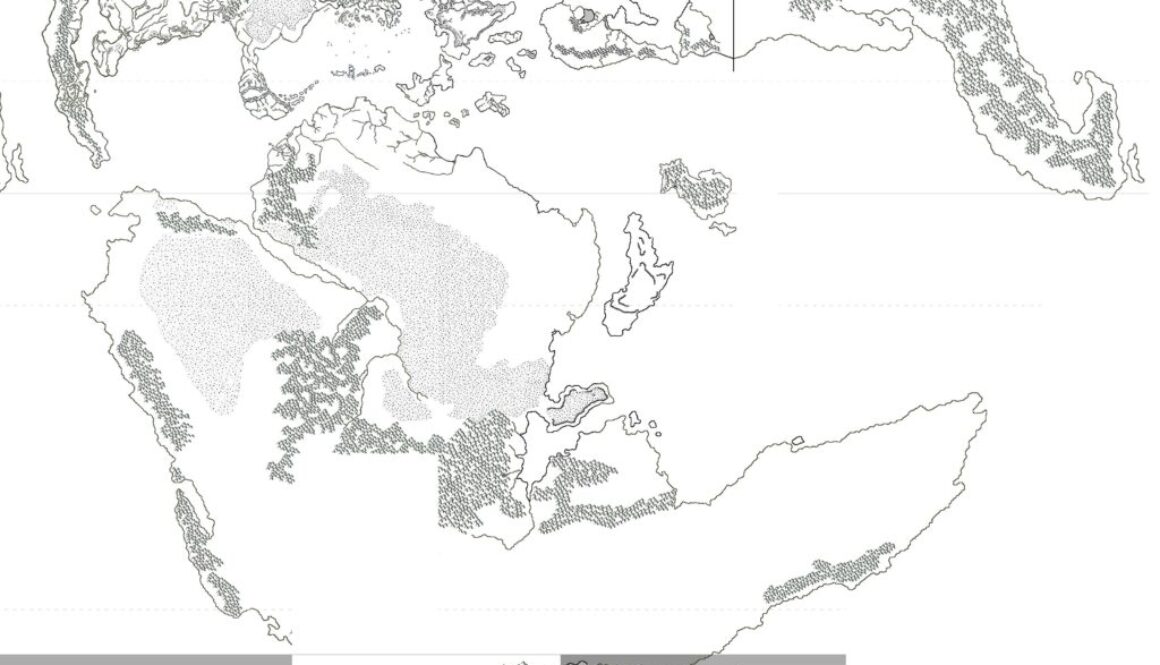 Draft map of the Southern Hemisphere by Michele Carpita, September 2009